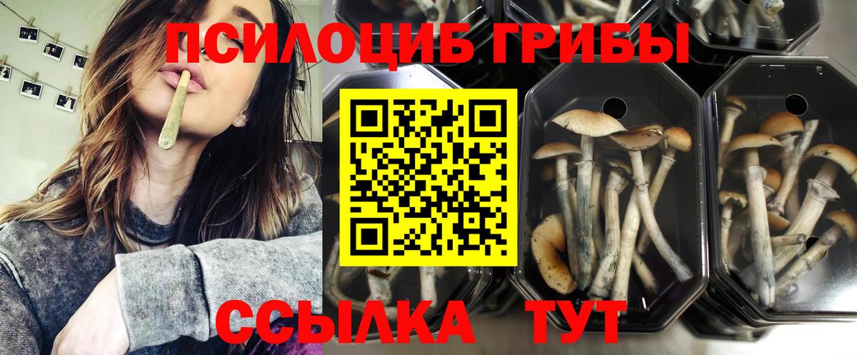 ГАШИШ  ГАШИШ  ЭКСТАЗИ  Каннабис  Качканар  МЕФ   Вход с VPN 
