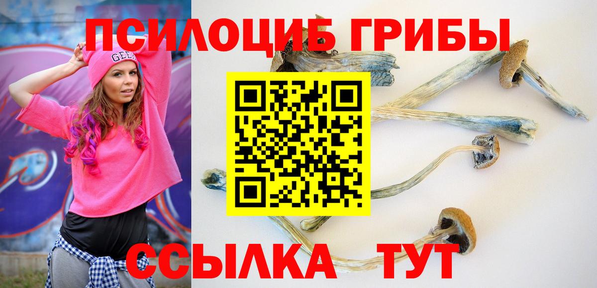 Качканар  Псилоцибиновые грибы мухоморы  Вход с VPN  Галлюциногенные грибы прущие грибы 